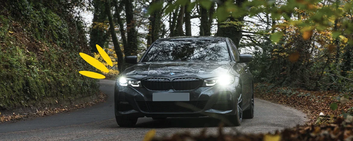 BMW 3 Series driving in woods