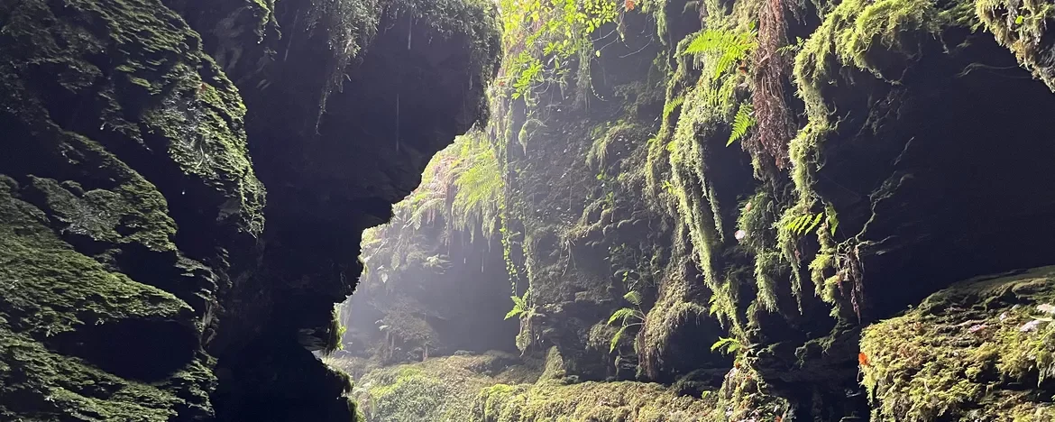 Lydford Gorge