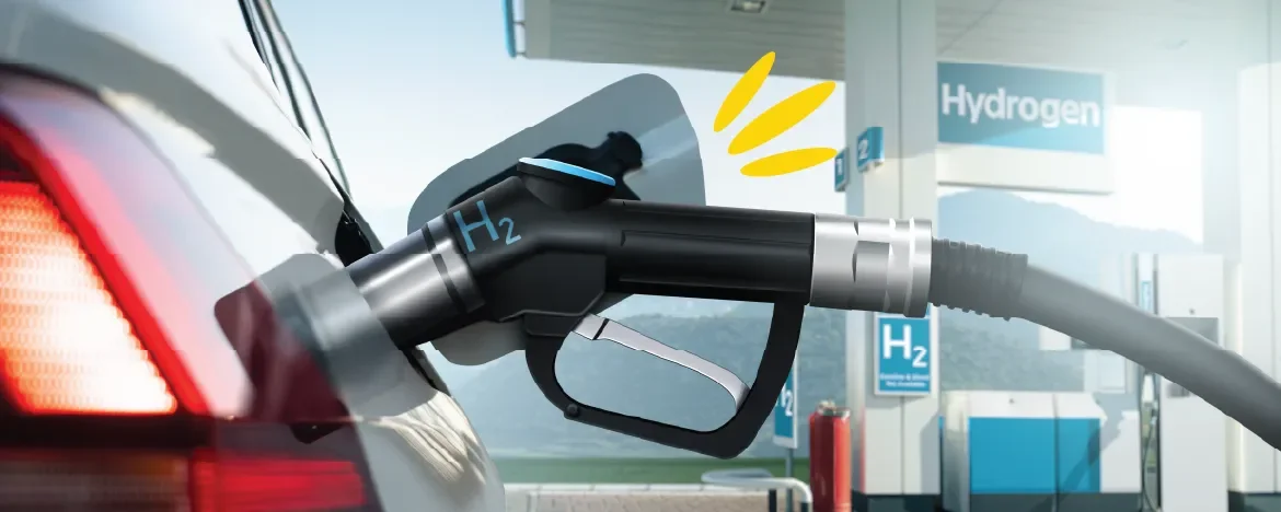 Hydrogen fuel pump