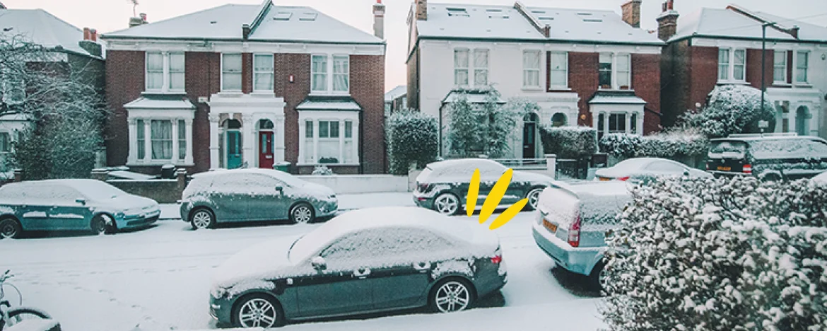 snow on parked cars