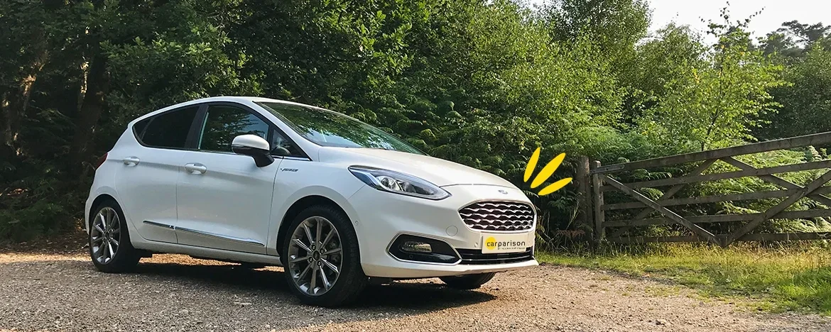 Ford Fiesta parked up
