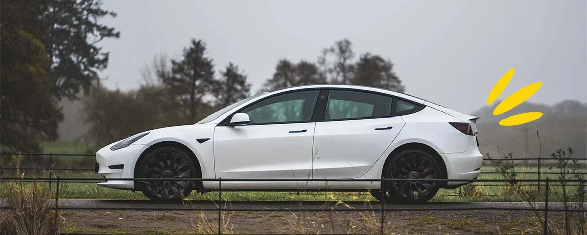 2021 Tesla Model 3 side view