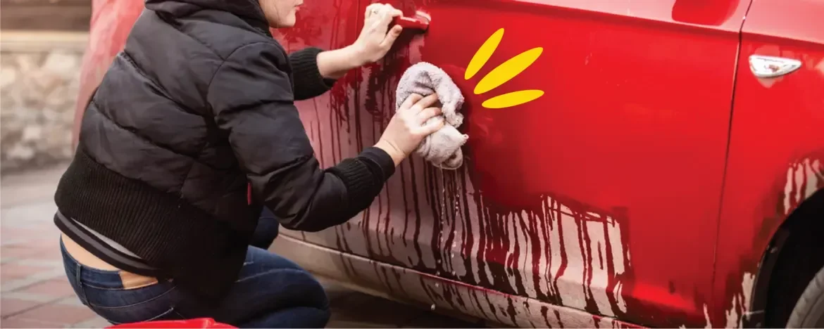 Cleaning the car
