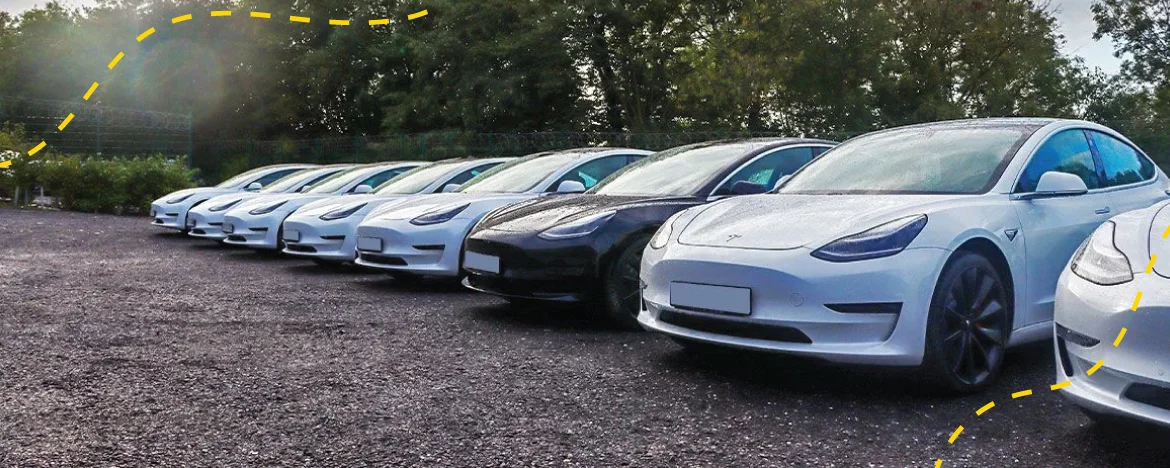 Tesla Model 3 line-up