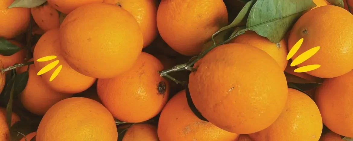 An abundance of oranges