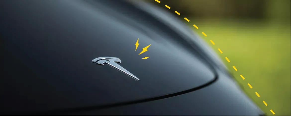 Tesla badge