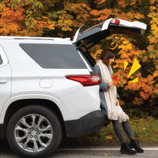 Autumn driving tips