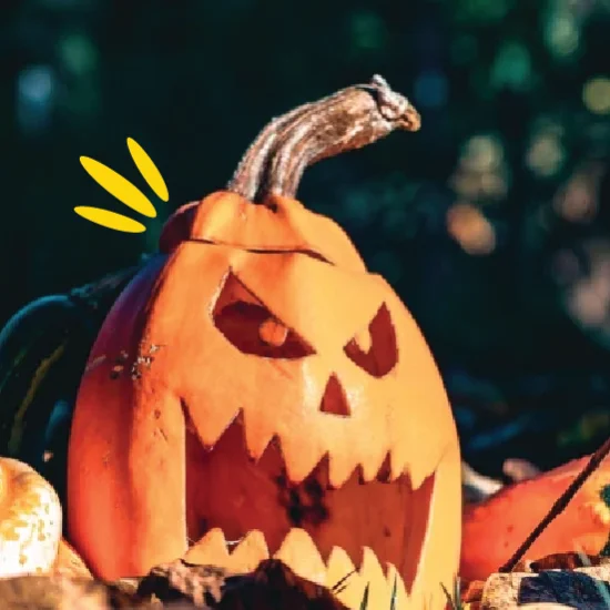 Spooky pumpkin with carved evil face