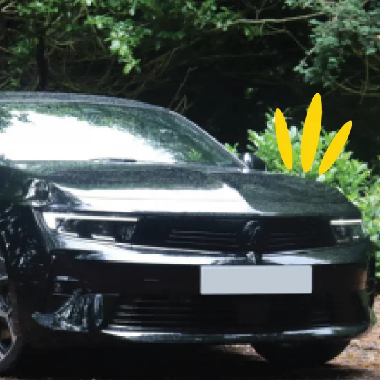 Vauxhall Astra Ultimate in woodland forest