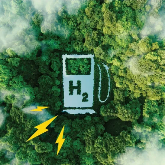 hydrogen fuel cell