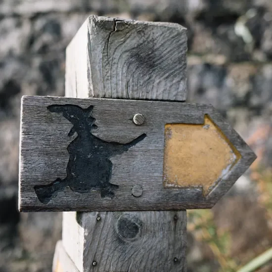 Arrow with witch on