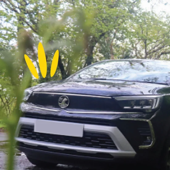 Vauxhall Crossland parked under trees