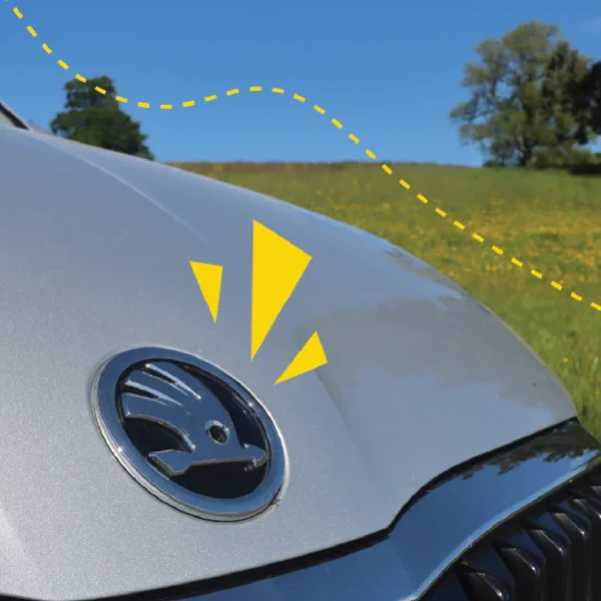 Close up of the SKODA badge