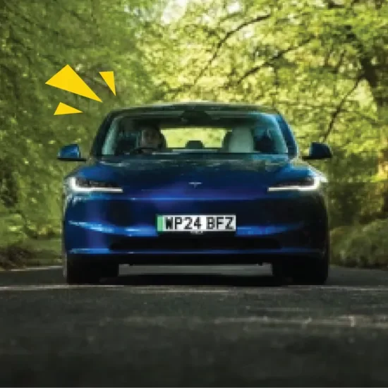 Tesla Model 3 under cover of trees