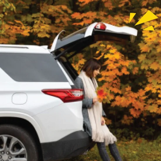 Person sat in the back of a car holding autumnal leaves