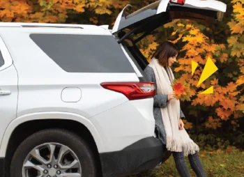 Autumn driving tips