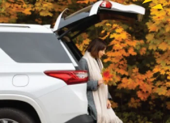 Person sat in the back of a car holding autumnal leaves